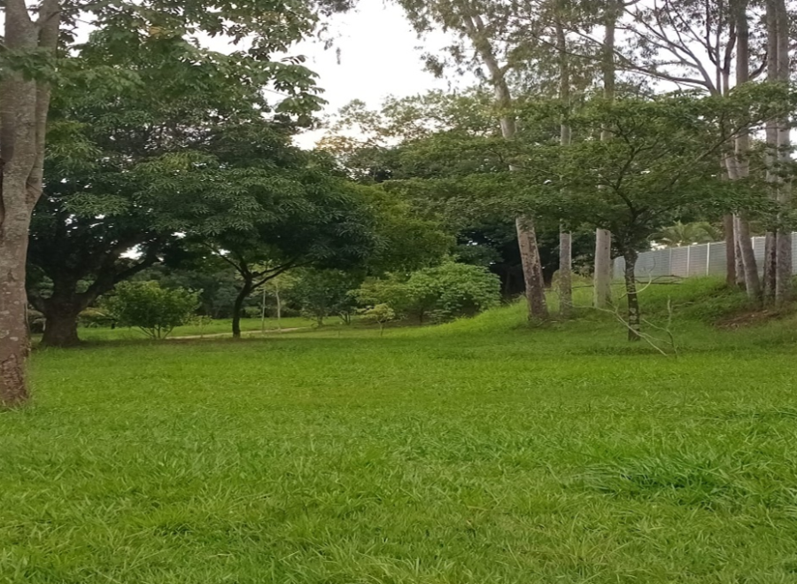Parque de Águas Claras vira opção de lazer no aniversário de Brasília