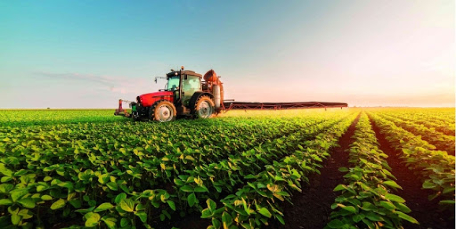 O agronegócio no Distrito Federal: força produtiva no centro do Brasil 