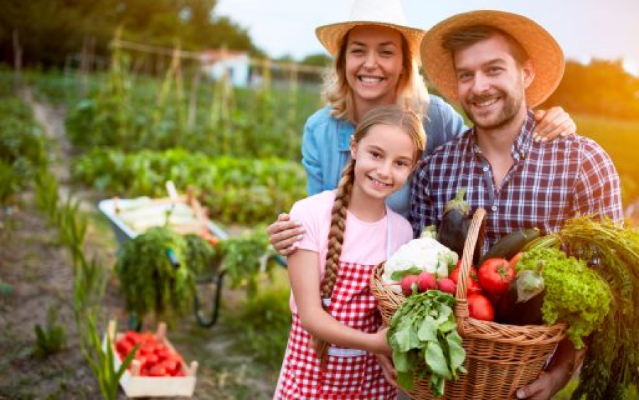 Agricultura familiar fortalece a alimentação escolar e movimenta milhões no DF